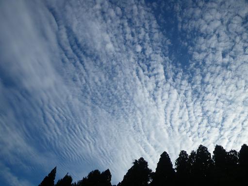 e0123808_23475084.jpg