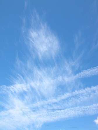 c0100110_13555955.jpg