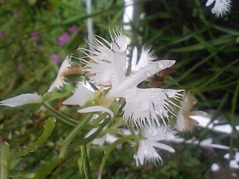 f0046614_21434328.jpg