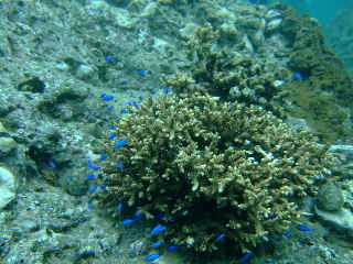 f0142717_013465.jpg