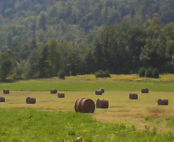 f0036223_642831.jpg