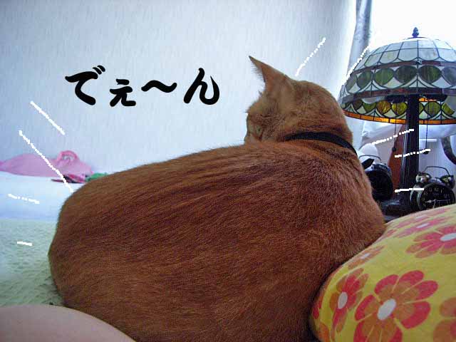 d0081025_1481548.jpg