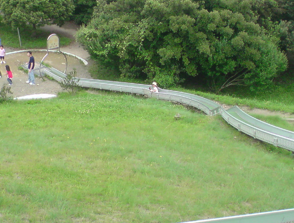 d0016540_2355505.jpg
