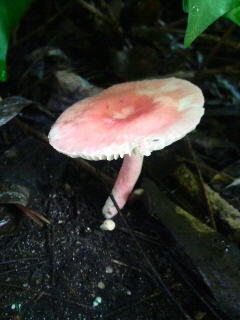 b0129041_2204685.jpg