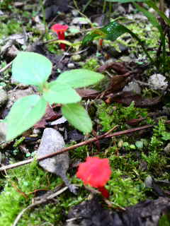 b0129041_22185324.jpg
