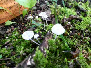 b0129041_22211556.jpg