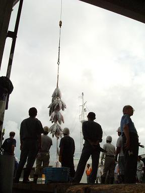 f0158841_20485718.jpg