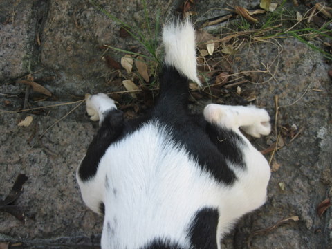 e0018143_2461937.jpg