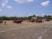 e0067043_19331128.jpg
