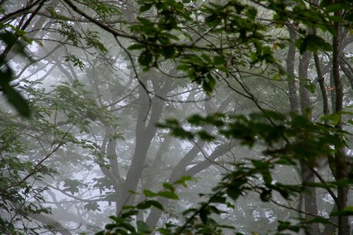 c0081645_22575359.jpg