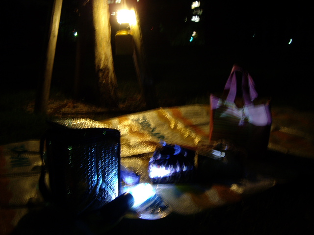 e0098547_0323795.jpg