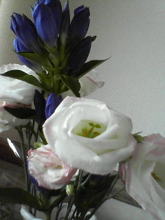 c0121954_2281267.jpg