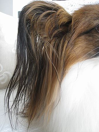 c0074156_16555360.jpg