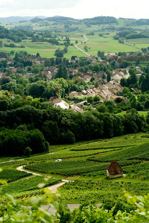 d0002958_836886.jpg