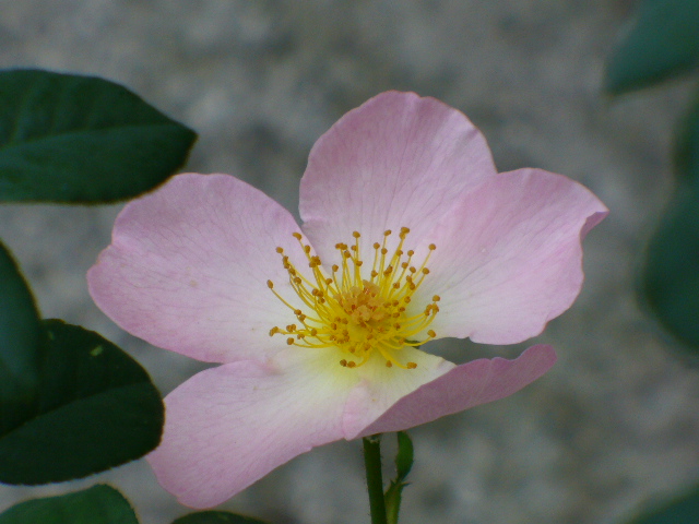 f0074659_22324331.jpg