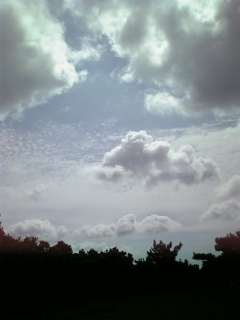 c0000461_21193142.jpg