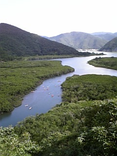 c0000461_21211754.jpg