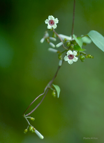 b0078874_14315157.jpg