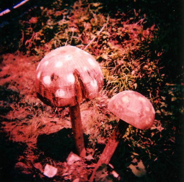f0161878_23421765.jpg