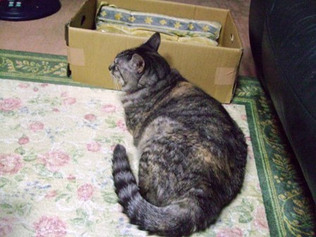 c0078480_1524492.jpg