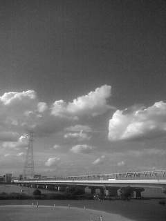 f0100480_1912782.jpg