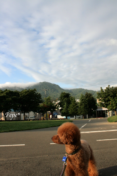 f0001895_13313526.jpg