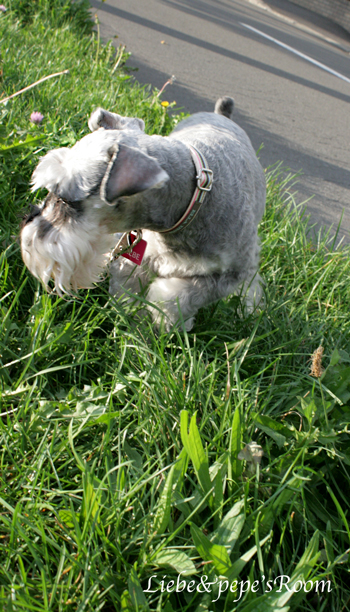 f0001895_13332681.jpg