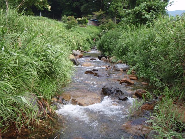 c0177497_231559.jpg