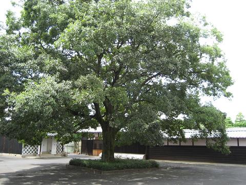 e0122100_9422969.jpg
