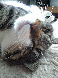 c0035001_1250517.jpg