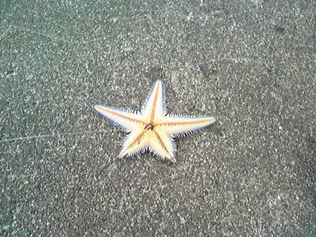 f0079202_98214.jpg