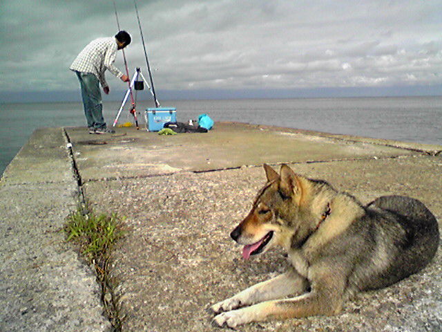 f0079202_982152.jpg