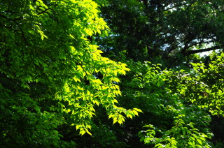 f0179404_20501338.jpg