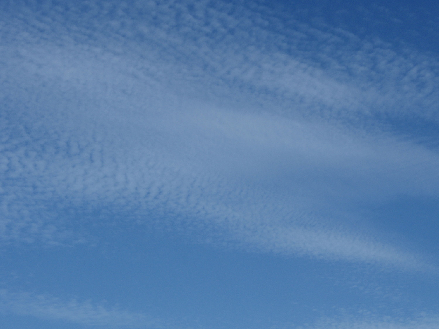 a0011808_18273316.jpg