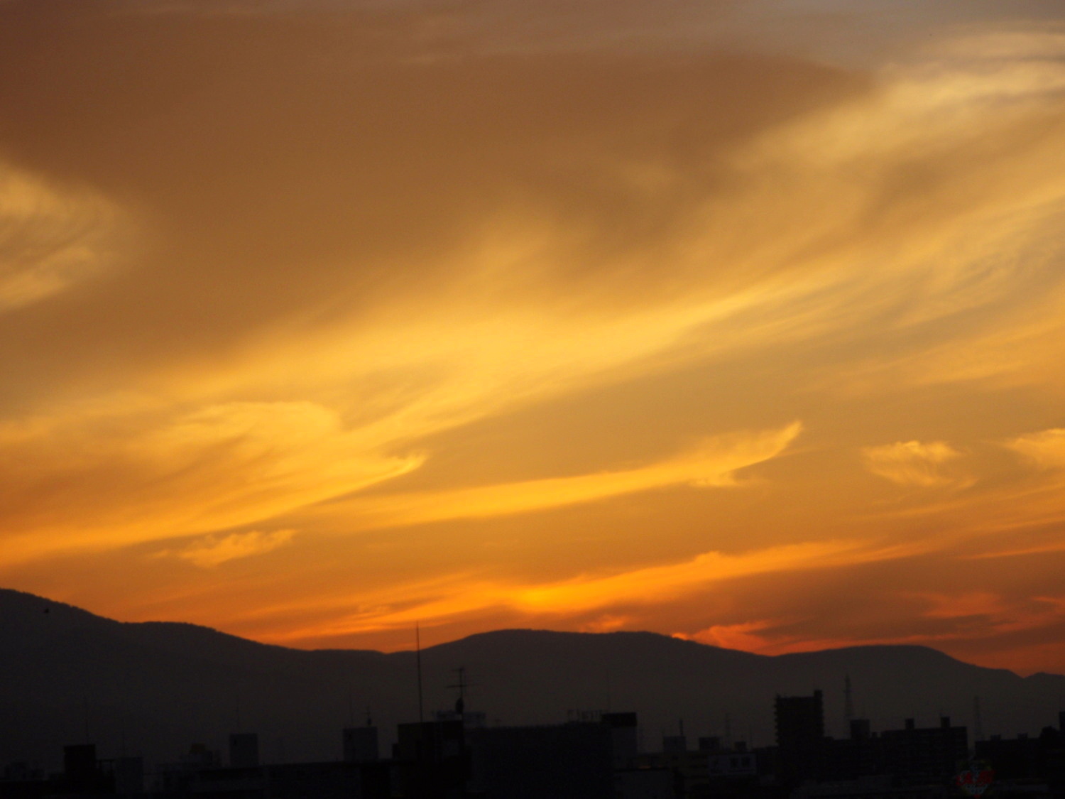 a0011808_18345778.jpg