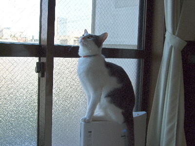c0006312_18261627.jpg