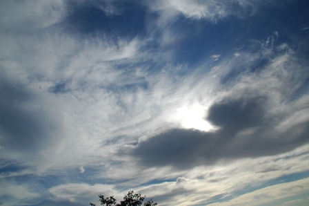 f0136326_91433.jpg