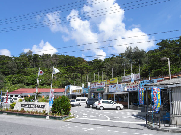 f0175934_2272676.jpg
