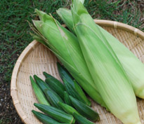 c0085543_21571670.jpg