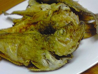 b0028347_1117422.jpg
