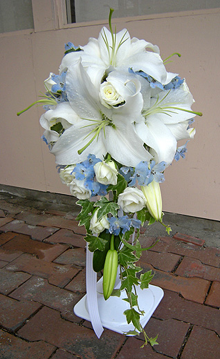 a0001354_20231738.jpg
