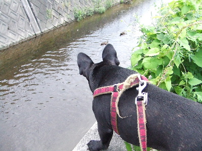 e0126054_11542867.jpg