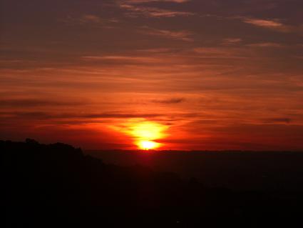 f0142862_1611263.jpg