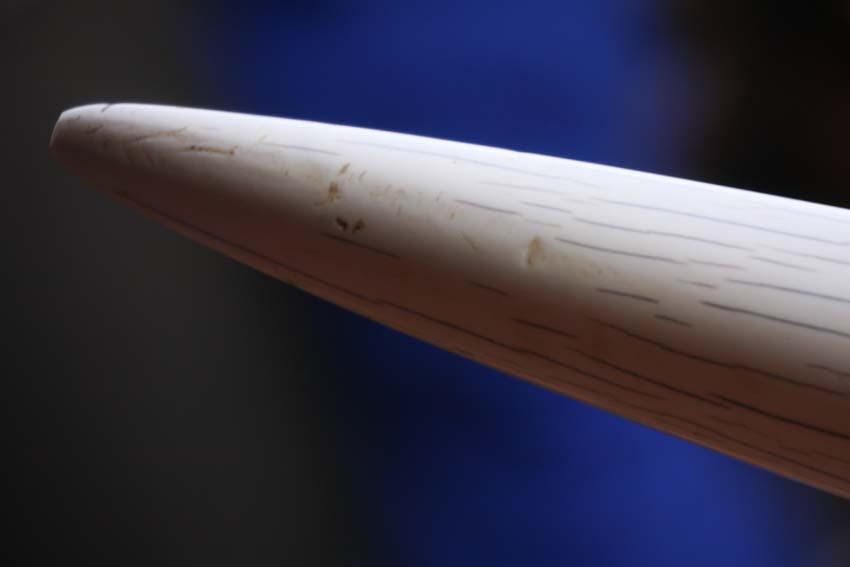 b0149365_3485146.jpg