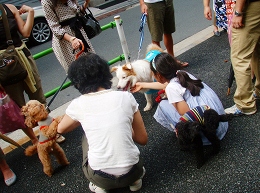 b0003270_12255710.jpg