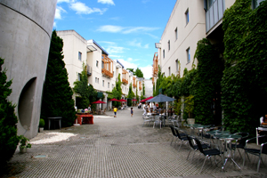 b0117170_10541829.jpg
