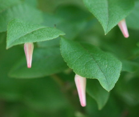 f0181173_1156328.jpg