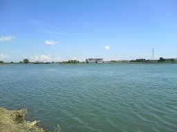 a0013479_1742867.jpg