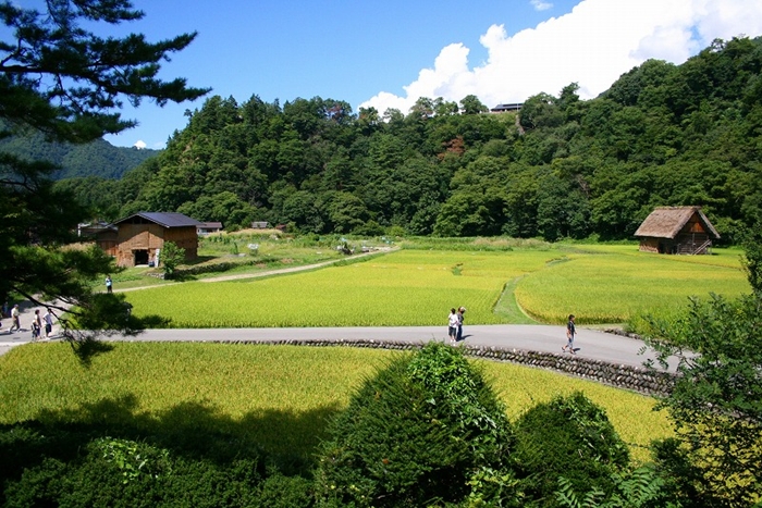 b0128787_17225169.jpg