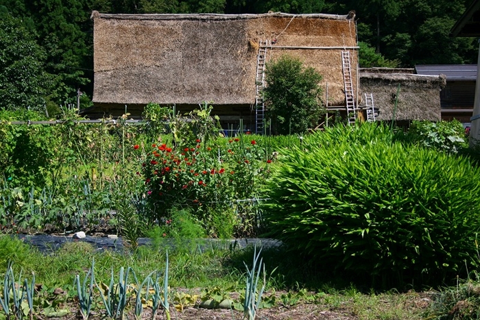 b0128787_17231350.jpg